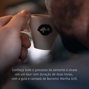 
                  
                    Visita Guiada
                  
                